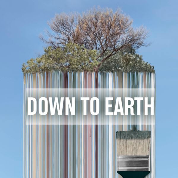 Taubman - Strip Banner - Colour Trends - Brand page