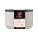 Santalum Estate Sandalwood Citronella Candle In Cement Grey Ceramic With Lid