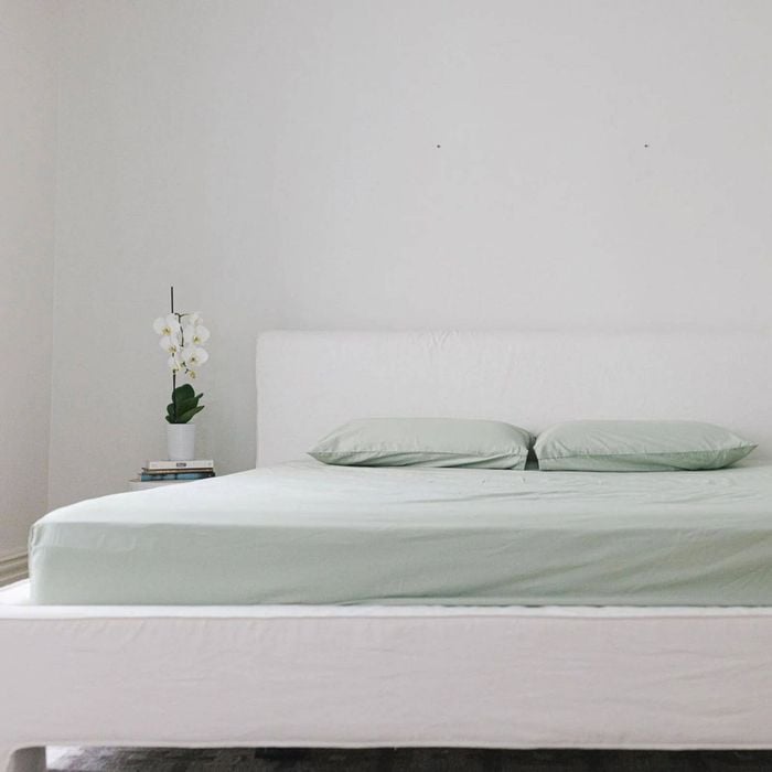 Bulbul Home 375tc Fitted Sheet & Pillowcase Bedding Set Desert Sage King