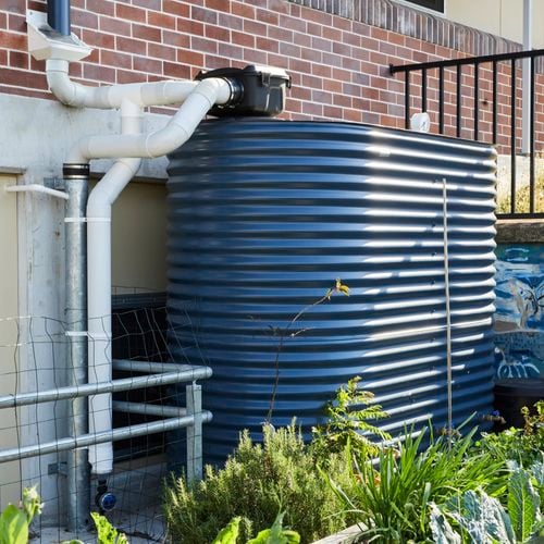 Corrugated water tank alongside brick wall with downpipe and veggie garden beds.