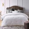 Accessorize Dotty Clip White 3 Piece Jacquard Comforter Set Queen