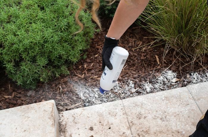 Apply Ant Killer Dust along the edge of a garden bed