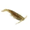 6 Pack of Zman 2.5 Inch PrawnZ Soft Plastic Fishing Lures - Houdini