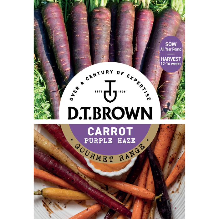 D.T. Brown Gourmet Carrot Purple Haze Seeds