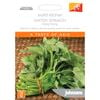 Johnsons World Kitchen Water Spinach Kang Kong Seeds