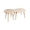 Natural Signature Medium Raw Natural 2 Piece Beetle Coffee Table Set
