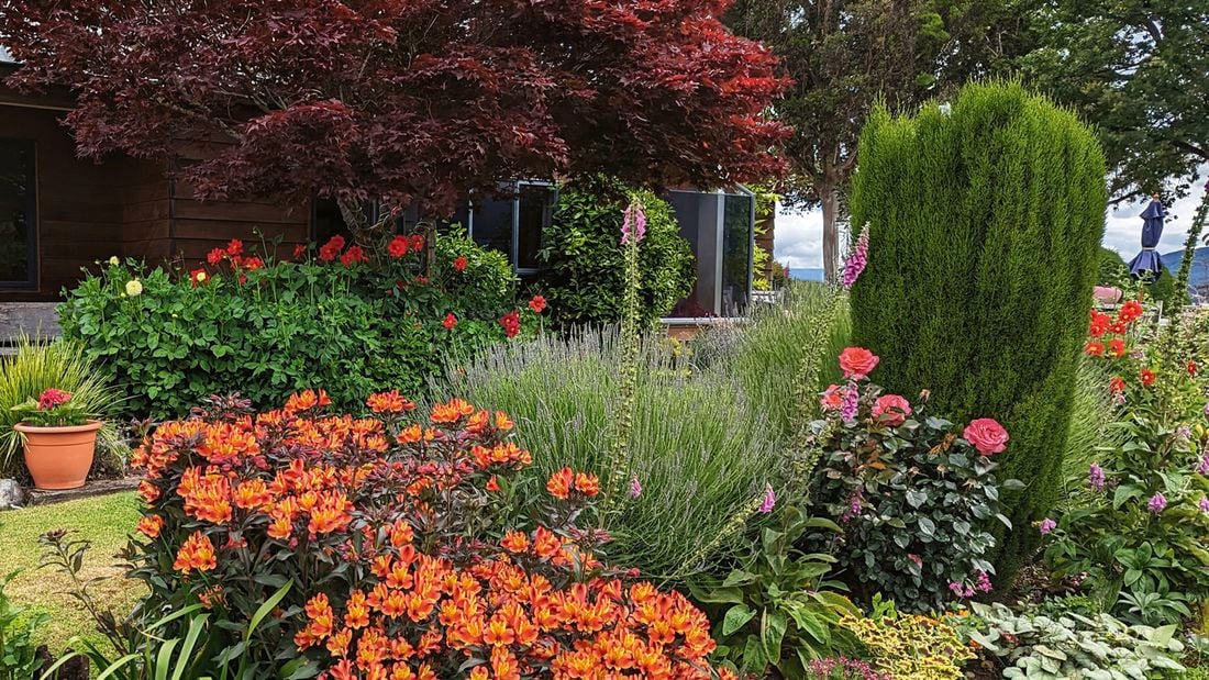 A colourful garden in early autumn showing seasonal planting and maintenance typical of autumn gardening jobs.]