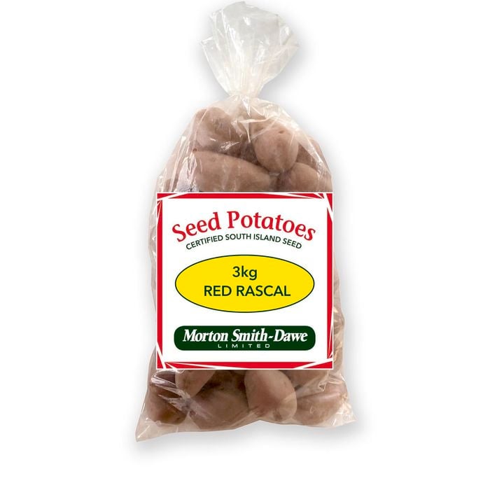 Morton Smith-Dawe 3kg Red Rascal Seed Potato