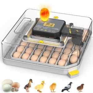 Advwin 48 Eggs Incubator with Egg Candler Automatic Egg Turning