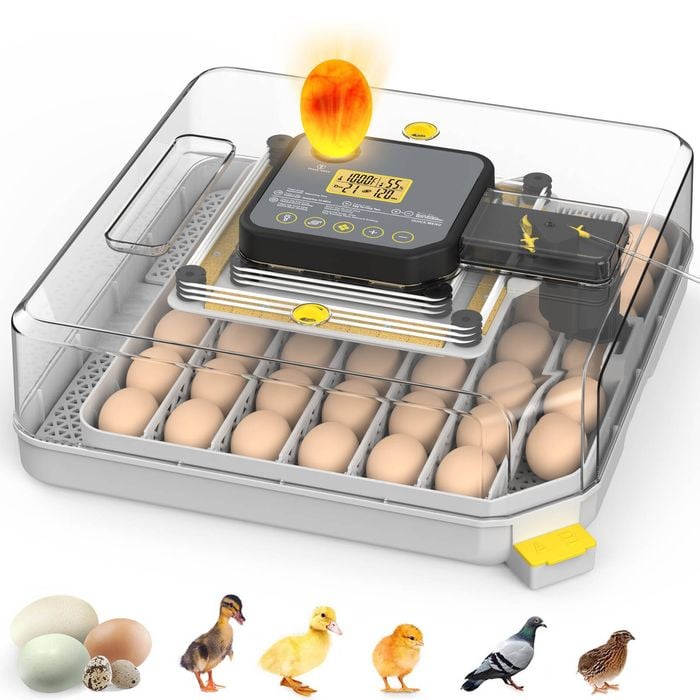 Advwin 48 Eggs Incubator with Egg Candler Automatic Egg Turning