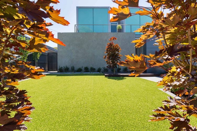 A lawn in front of a functionalist building with autumn leaves