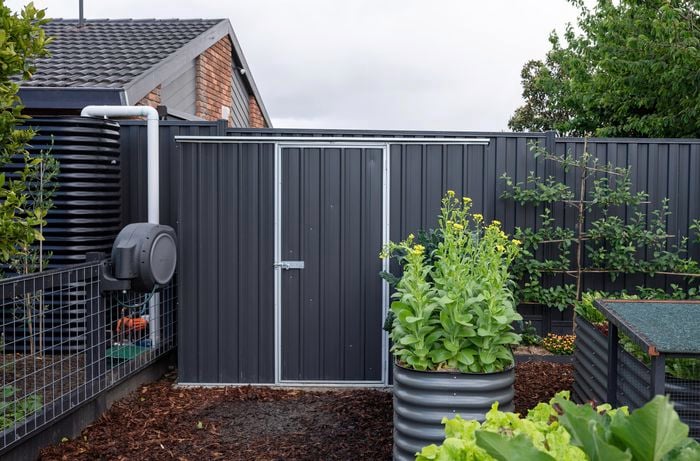 Dark coloured shed amongst veggie gardens.