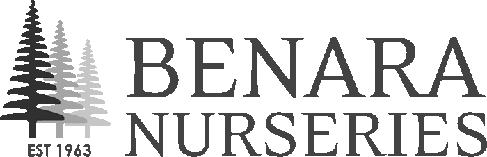 Benara Nurseries