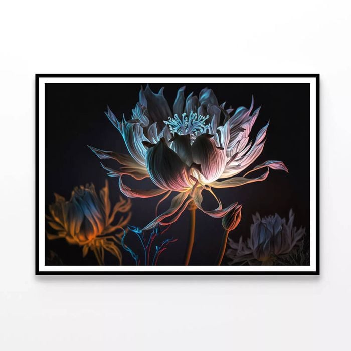 Close-Up of a Flower at Night  Print 100% Australian Made 90x60cm  (Poster)