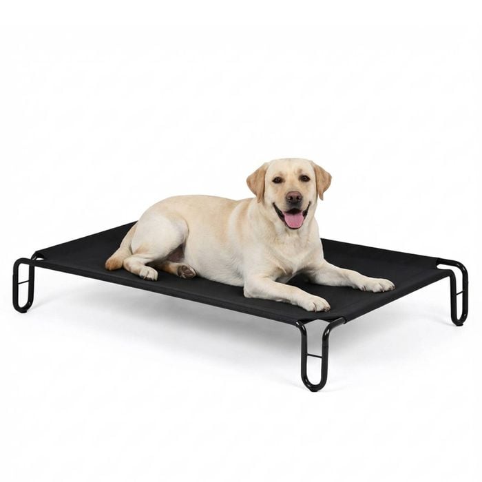 Advwin Large Elevated Dog Bed 110cm Durable Breathable Mesh Sofa