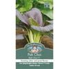 Mr Fothergill's Seed Pak Choi Red Choi F1
