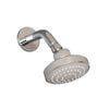 Bliss Single Spray Shower Rose