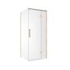 Rick McLean's 870 x 870mm Brushed Brass Euro Frameless Hinged Shower Screen