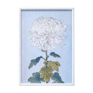 Lvd White Framed Flowers Print Wall Hanging Decor 50x70cm Assorted