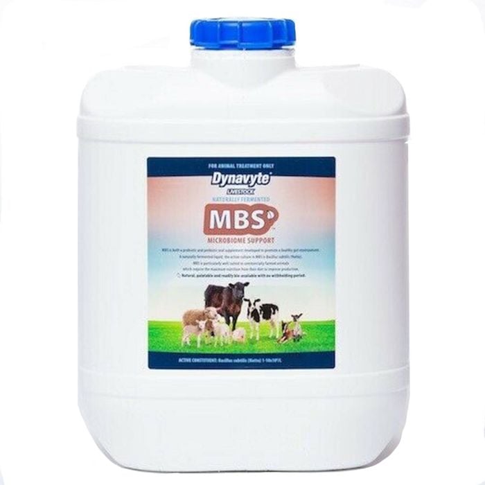 Dynavyte Equine Microbiome Support Healthy Gut Horse Supplement 5L