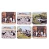 6pc Ashdene Working Dogs Cup Mug Kitchen Drinks Coaster 11x9.7cm