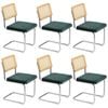 Oikiture 6x Rattan Dining Chair Cesca Replica Cantilever Velvet Padded Green