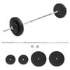 vidaXL Barbell with Plates Set 30 kg Home Exercise Dumbbell Free Weight Plate