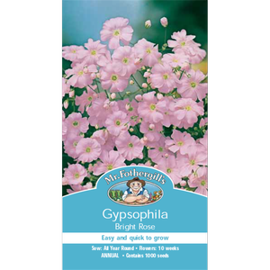Mr Fothergill's Gypsophila Bright Rose Seeds
