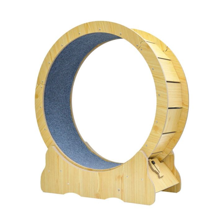 Cat Running Wheel Ultra-Quiet Exerciser with Anti-Slip Detachable Scratcher