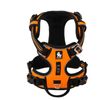 Truelove Adventurer No Pull Dog Harness Large Orange
