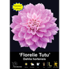 Yarra Valley Bulbs Florelie Tutu - 1 Pack