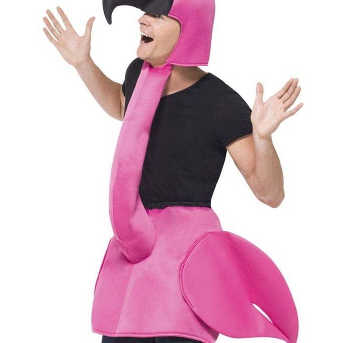 Fancy Pink Flamingo Adults Funny Animal Costume - Standard