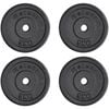 METEOR 5kgx4 Black Cast Iron Standard Weight Plates