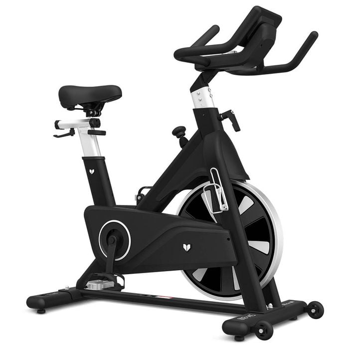 Lifespan Fitness SM 810 Commercial Spin Bike Exercise Bike Home Gym Workout Bunnings Australia