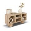 Beaumont Indoor Mango Wood TV Unit