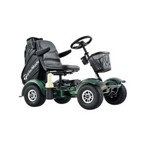 DM416 1000W Lithium Battery Golf Cart Mobility Scooter