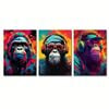 3pcs Funny & Stylish Monkey with Headphones Print 100% Australian Made 3 x 40x60cm (Metal Print)