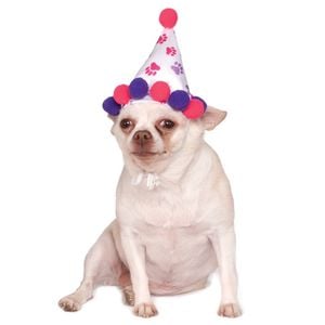 Rubies Paw Print Girl Pet Birthday Hat Dog/Pet Fancy Dress Up Costume Size M-L