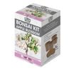 Mr Fothergill's Apple Blossom Bonsai Kit