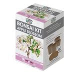 Mr Fothergill's Apple Blossom Bonsai Kit