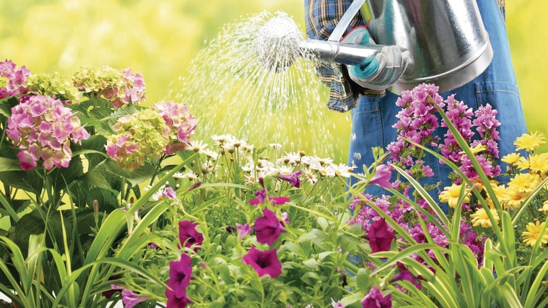 Man in yellow gloves sprinkles seeds on garden