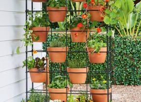 Vertical garden structure with terracotta pots containing herbs and flowering plants, beside a coiled green and yellow garden hose on a white panelled wall, with lush greenery in the background