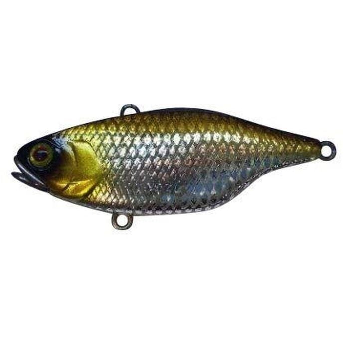 Jackall TN60 Hard body Vibration Fishing Lure Uroko Shad