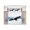 3D Animal Eagle Sky 29 Bed Pillowcases Quilt King Single Size