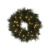 Christabelle 61cm Christmas Wreath Long Needle with LED Lights Front Door Decoration Ornament