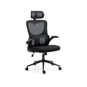 FORTIA Ergonomic Office Chair, Retractable Armrests, Black