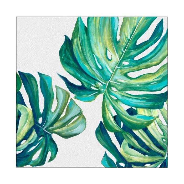 Artey | Botanical Monstera I - Stretched Canvas - Stretched Canvas - 84 x 84cm