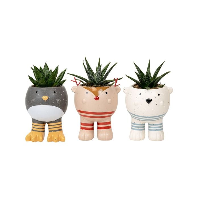 60mm Santas Helpers Ceramic Succulent
