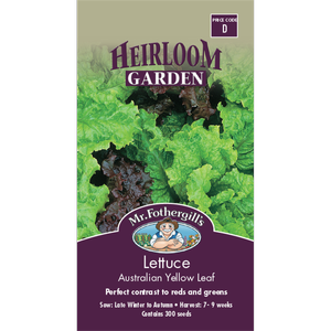 Mr Fothergill's Australian Yellow Leaf Lettuce Heirloom Seeds