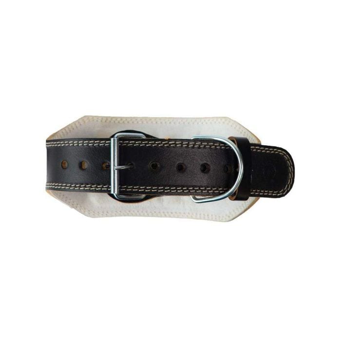 Leather 6" Weight Training Belt-Large